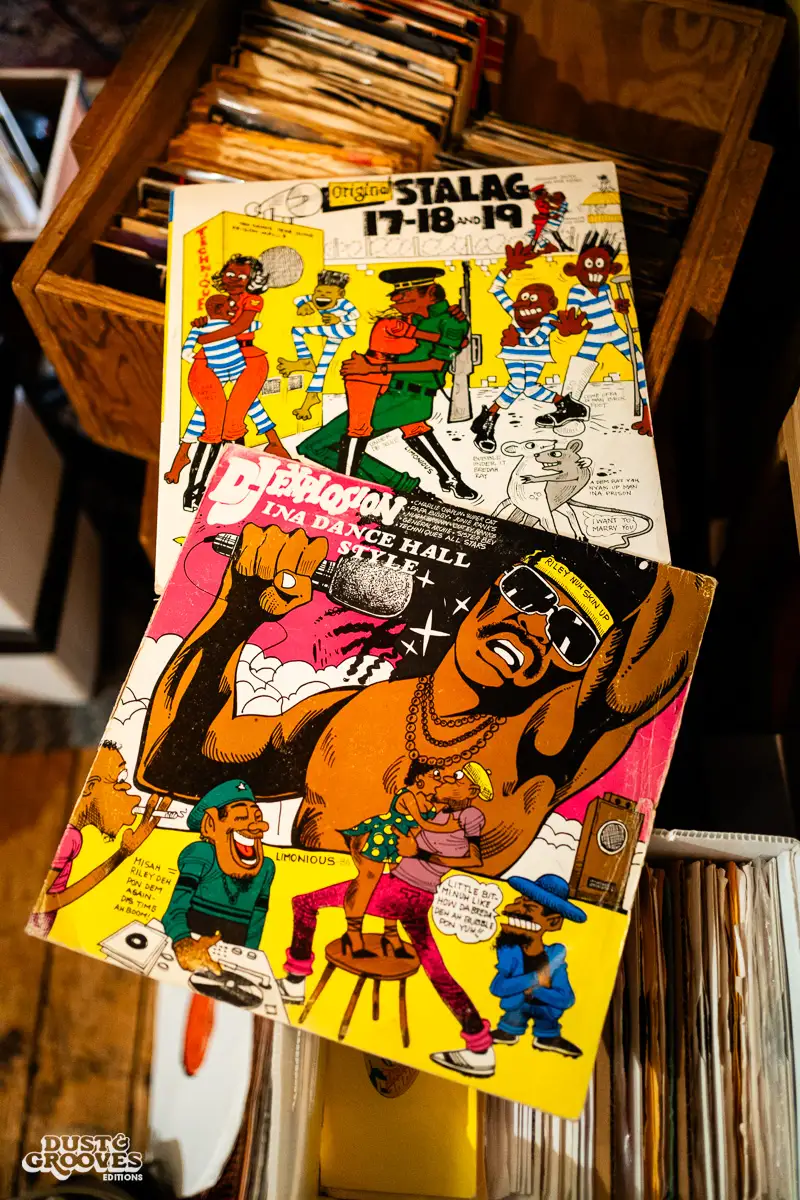 Grace of Spades, a vinyl record collector, DJ and radio host, photographed at her home in New York City, for Dust & Grooves Volume 2 book.