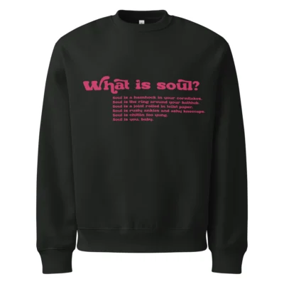 What is Soul? Funkadelic 1970. Oversized heavyweight sweatshirt.