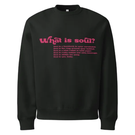 What is Soul? Funkadelic 1970. Oversized heavyweight sweatshirt.